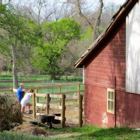 Your Replies to How You Would Spend Another Hour at Your Childhood Home Image